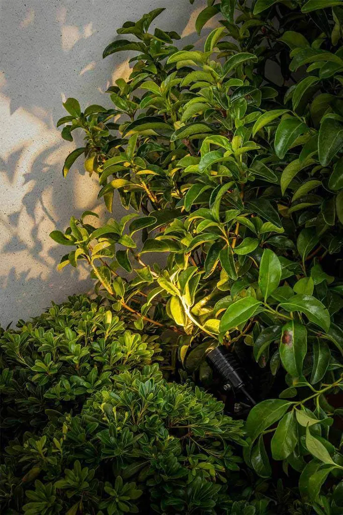 Spot LED BALDER Noir IP67 : Solution Éclairage Durable Anti-Humidité
