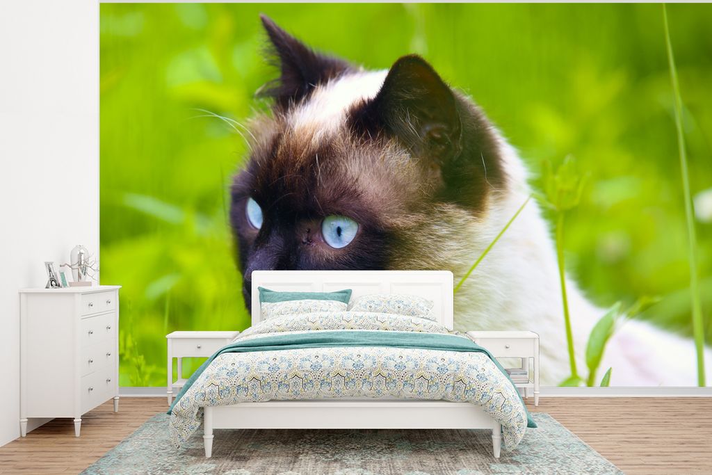 MuchoWow Fototapete für Wohnzimmer oder Schlafzimmer Wandtapete Vinyl Motivtapete Siamesische Katze im Gras - 350x260 cm - Wohnzimmer-Tapete