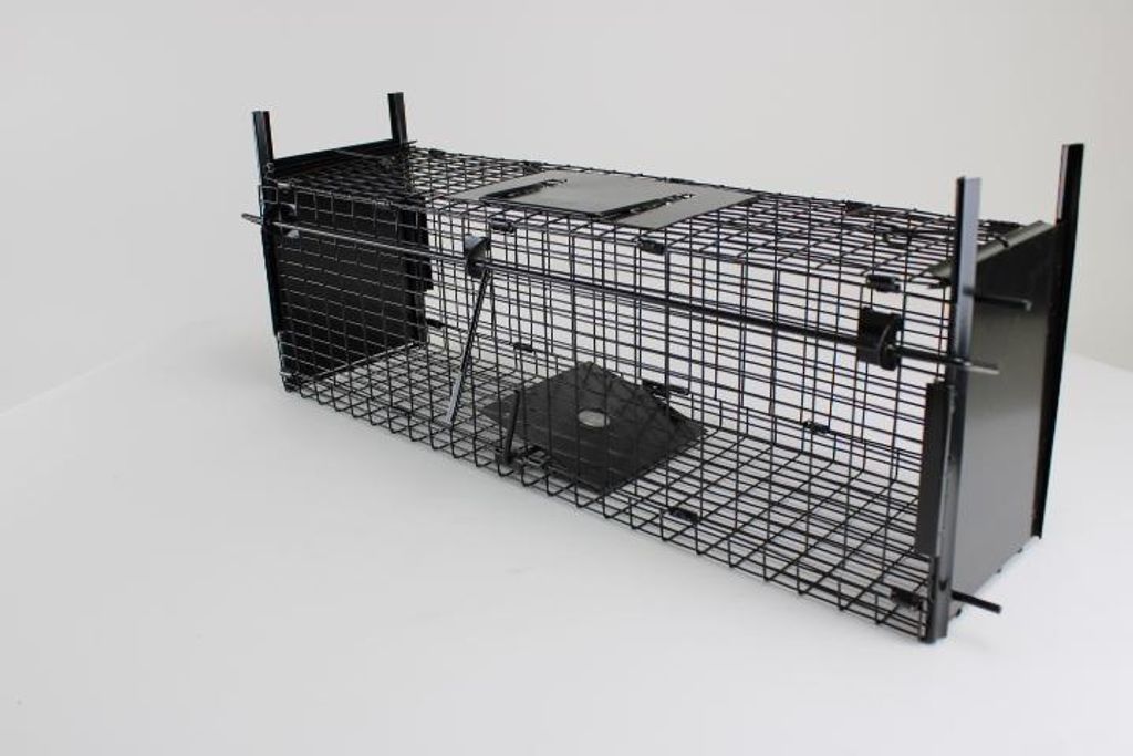 Campo24 Rattenfalle Kastenfalle Lebendfalle Drahtkasten – 60x18x20cm, Schutzgriff, Trittklappe – optimal für Marder, Mäuse, Siebenschläfer, ...