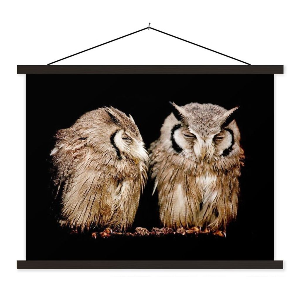 MuchoWow Textilposter Eule - Vogel - Schwarz 150x113 cm mit schwarzem Rahmen - Wohnzimmer