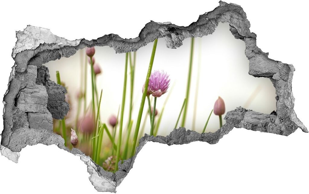 Selbstklebender Loch-3D-Aufkleber 95x73 cm Schnittlauch