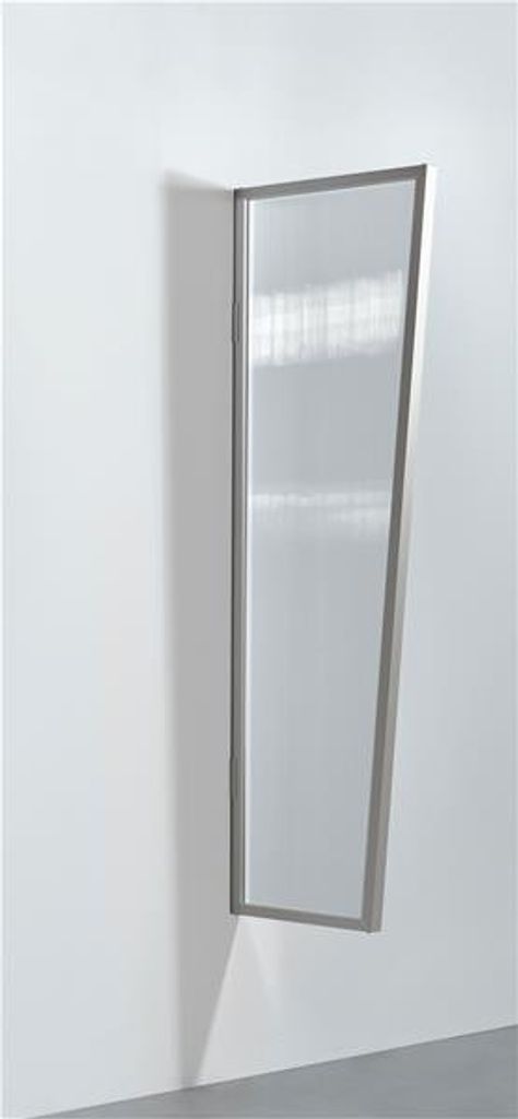 Seitenblende B2 Stegplatte Gutta zu Vordach klar Edelstahl 45x60x175cm