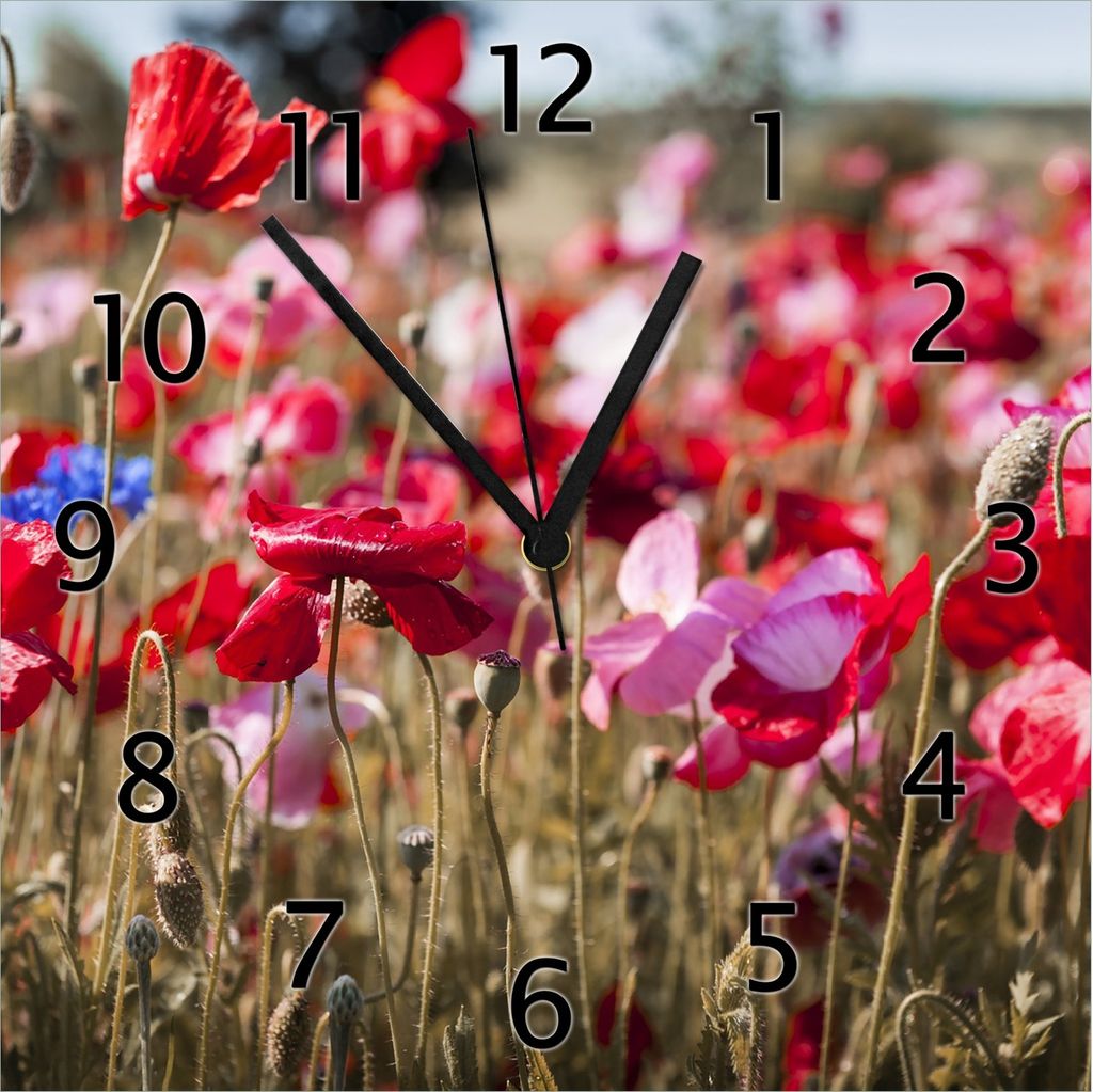 Wallario Design Wanduhr Mohnblumen am Rande eines Feldes aus Echtglas, Größe 30 x 30 cm