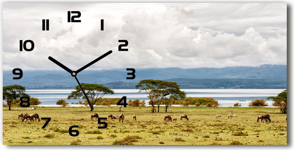 Wanduhr aus Glas – 60x30 cm - Glasbild - Glasuhr - Gehärtetes Glas - schwarze-zeiger - lake Naivasha