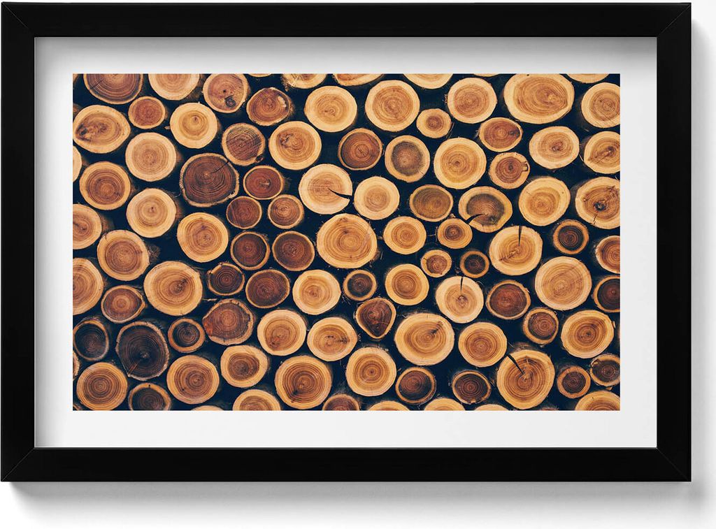 Wald, Baumstümpfe– Wandbild mit Rahmen – Gerahmtes Bild – Wanddekoration – 30x20 cm – Schwarz Rahmen