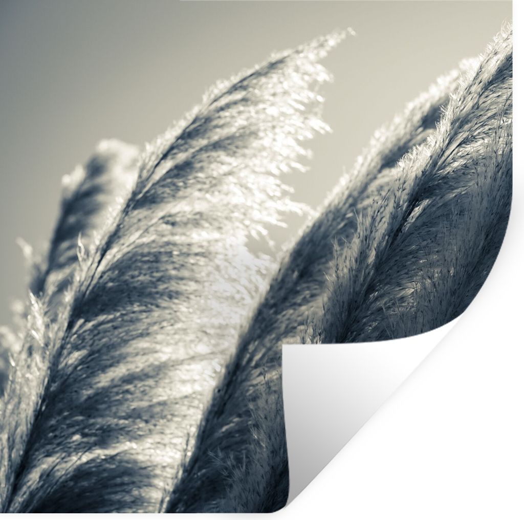 MuchoWow Wandtattoo Wandsticker Wandaufkleber Pampasgras - Schwarz - Weiß - Natur 100x100 cm Selbstklebend und Repositionierbar - Wierderverwend...