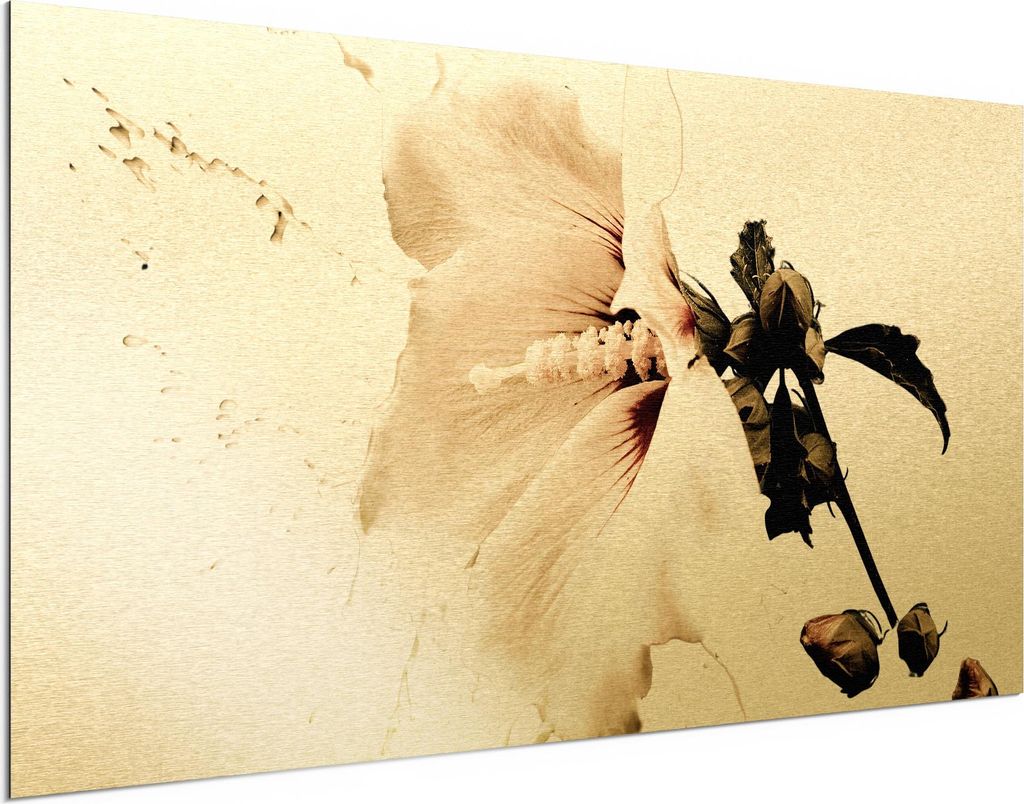 DEQORI Alu-Dibond Bild Gold 100x50 cm 'Milchige Blüte' Wandbild Metall dünn Design