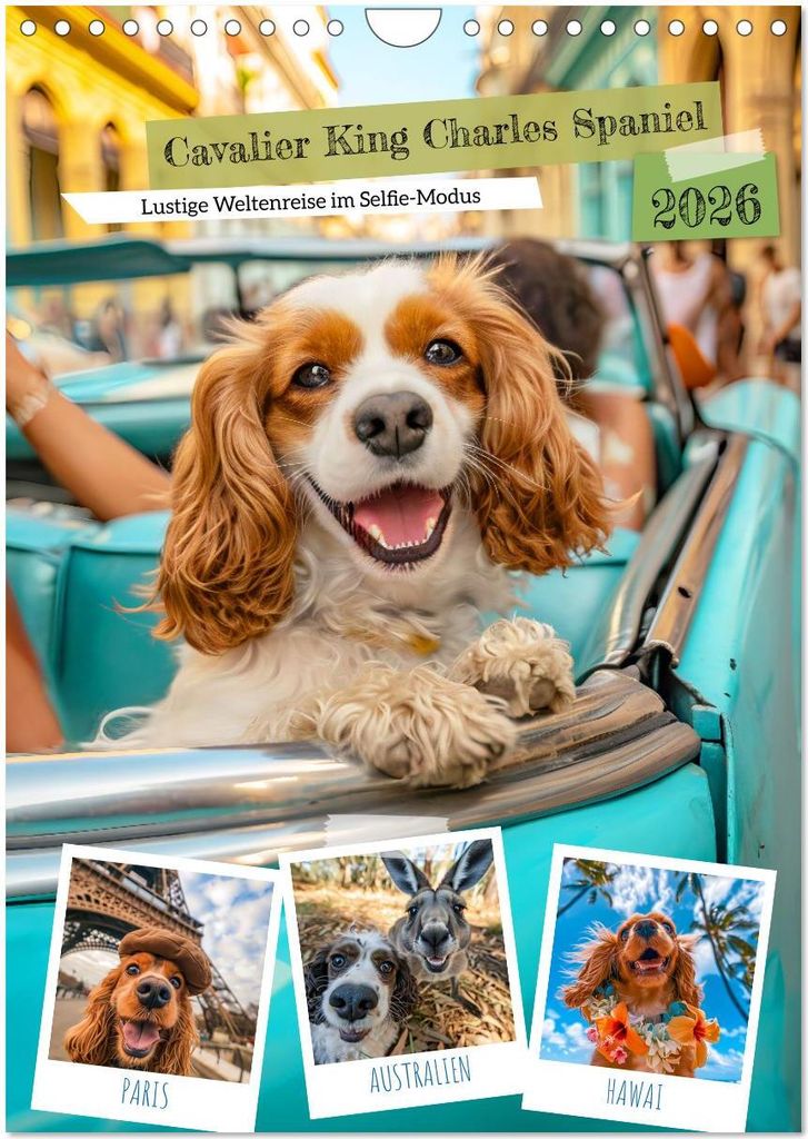 Cavalier King Charles Spaniel - Lustige Weltenreise im Selfie-Modus (Wandkalender 2026 DIN A4 hoch), CALVENDO Monatskalender