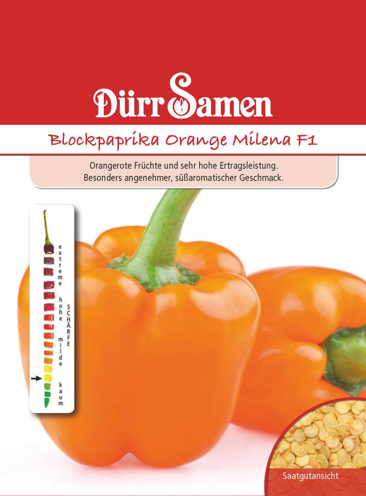 Blockpaprika Orange Milena F1 | Paprikasamen von Dürr Samen