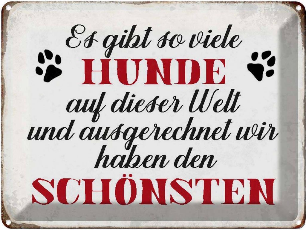vianmo Blechschild 30x40 cm es gibt so viele Hunde Hund