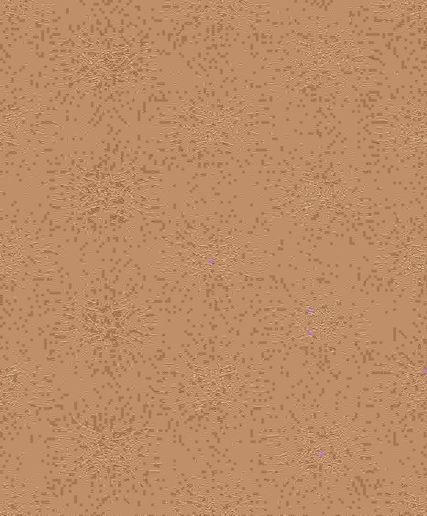 Rasch Tapete Kollektion Berlin 530551 Muster & Motive Produktbild 