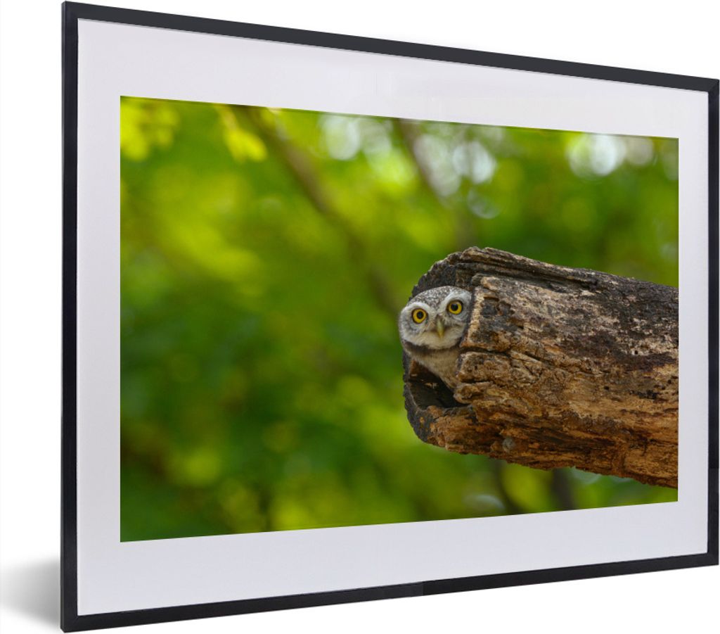 MuchoWow® MuchoWow® Gerahmtes Poster Eule - Baby - Baum Produktbild 