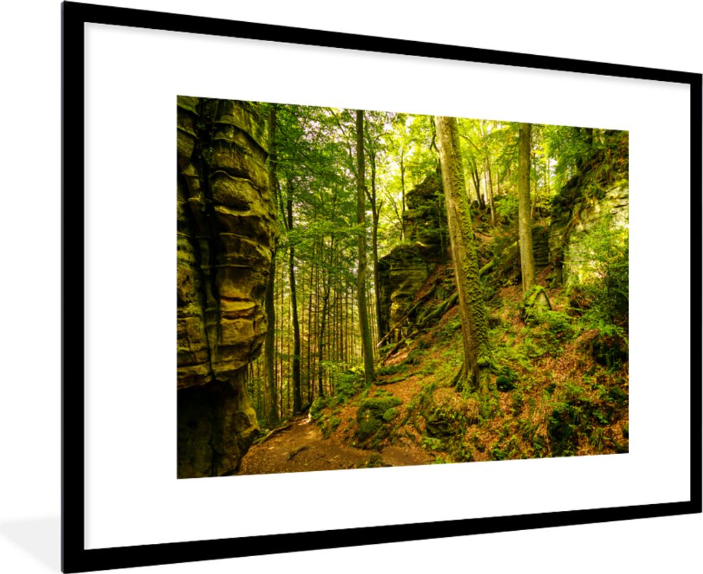 MuchoWow Gerahmtes Poster Bäume - Stein - Wald - Natur - Pflanzen 90x60 cm - Poster mit Schwarzem Bilderrahmen Wandposter Rahmen Foto Bilder - W...