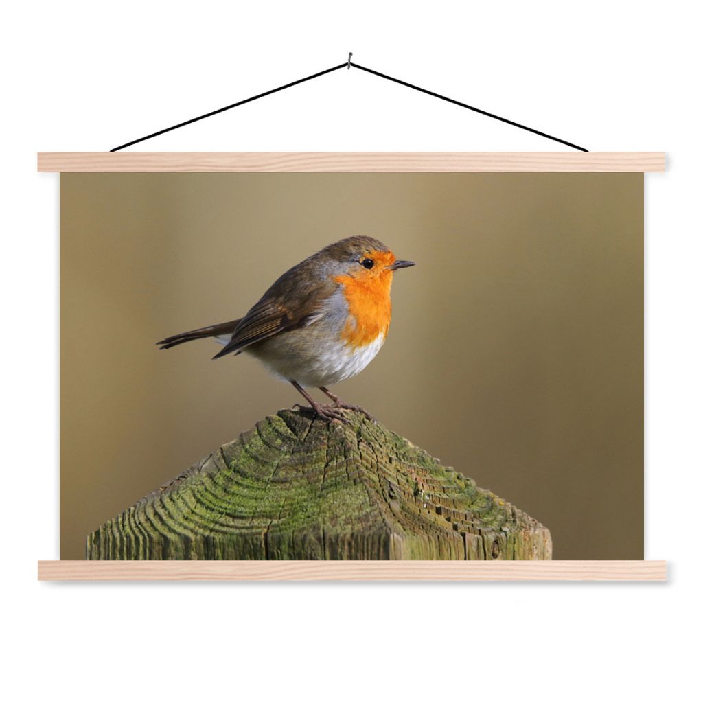 MuchoWow Textilposter Vogel - Rotkehlchen - Holz 120x80 cm mit holzfarbenen Rahmen - Aufhängeset