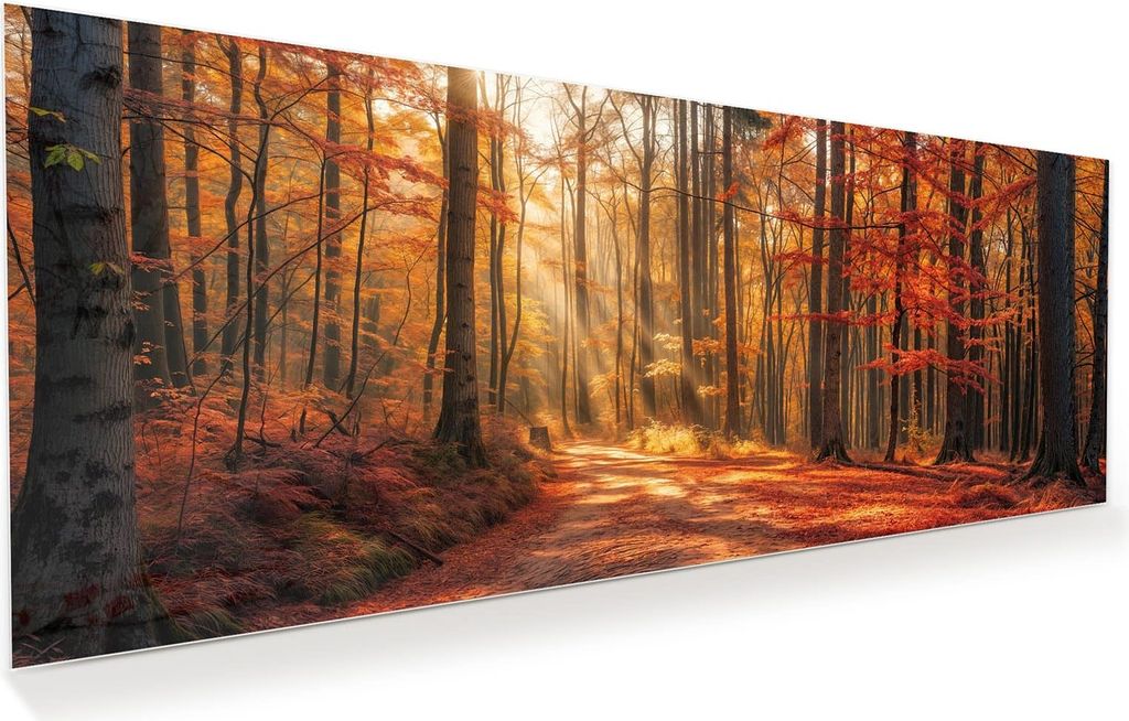 Glasbild 100x40cm in XXL für Wohnzimmer, Schlafzimmer Motiv Herbstlicher Waldweg