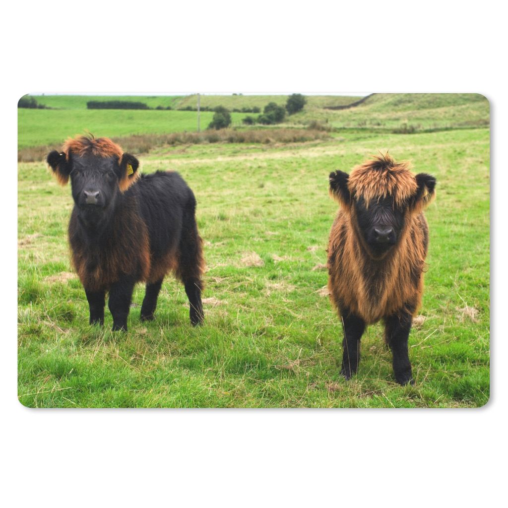 MuchoWow Mauspad Mousepad Schottische Highlander - Gras - Kühe 27x18 cm - Mousepads - Maus Mat - Pad - Mausunterlage - Büroartikel - Desk Matten