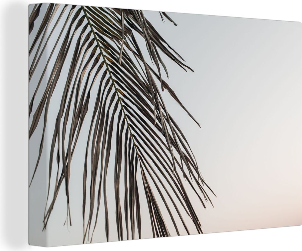 OneMillionCanvasses - Leinwandbilder - 140x90 cm, Blätter - Sommer - Palmenblatt - Tropisch, Wandbilder Kunstdruck Wanddekoration - Foto auf Lei...