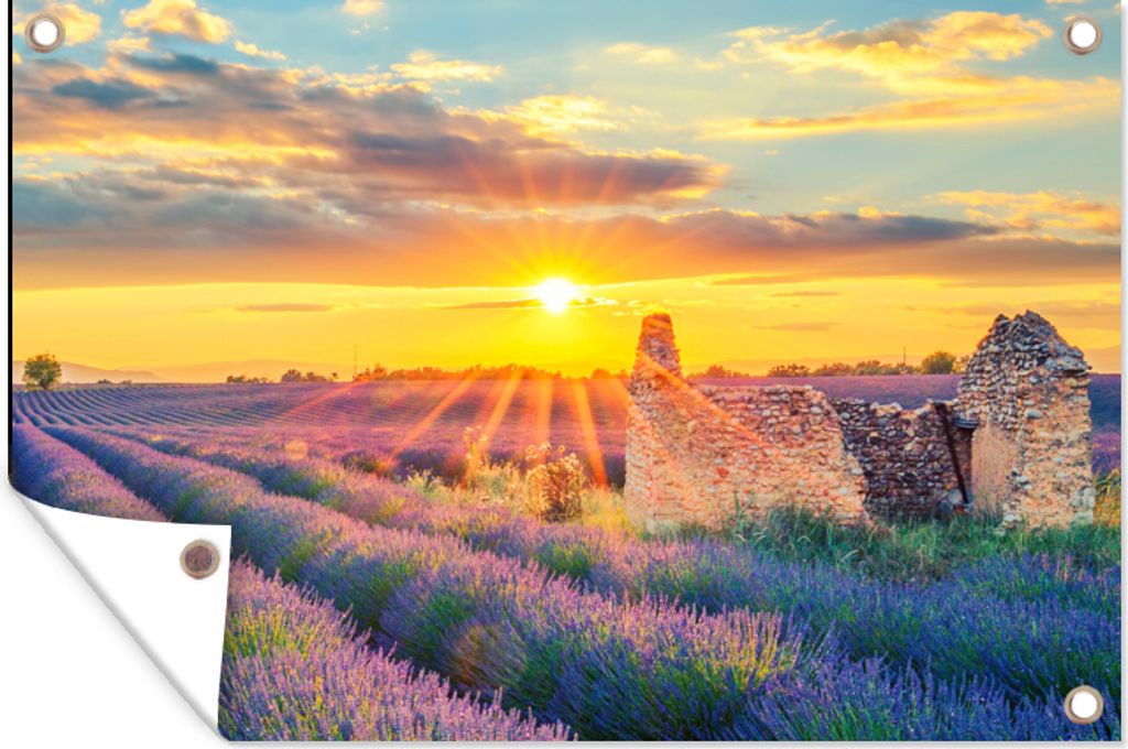 MuchoWow 90x60 cm Outdoor-Poster Gartendeko Sichtschutz Garten Poster für den Garten Lavendel - Sonnenuntergang - Ruine - Lila