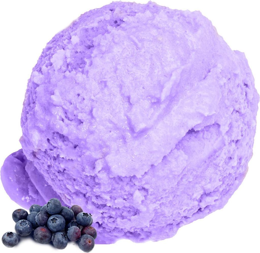 Heidelbeere Speiseeis Pulver 1 kg