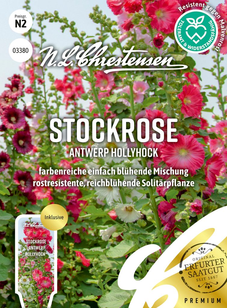 Stockrose Antwerp Hollyhock | Stockrosensamen von N.L. Chrestensen