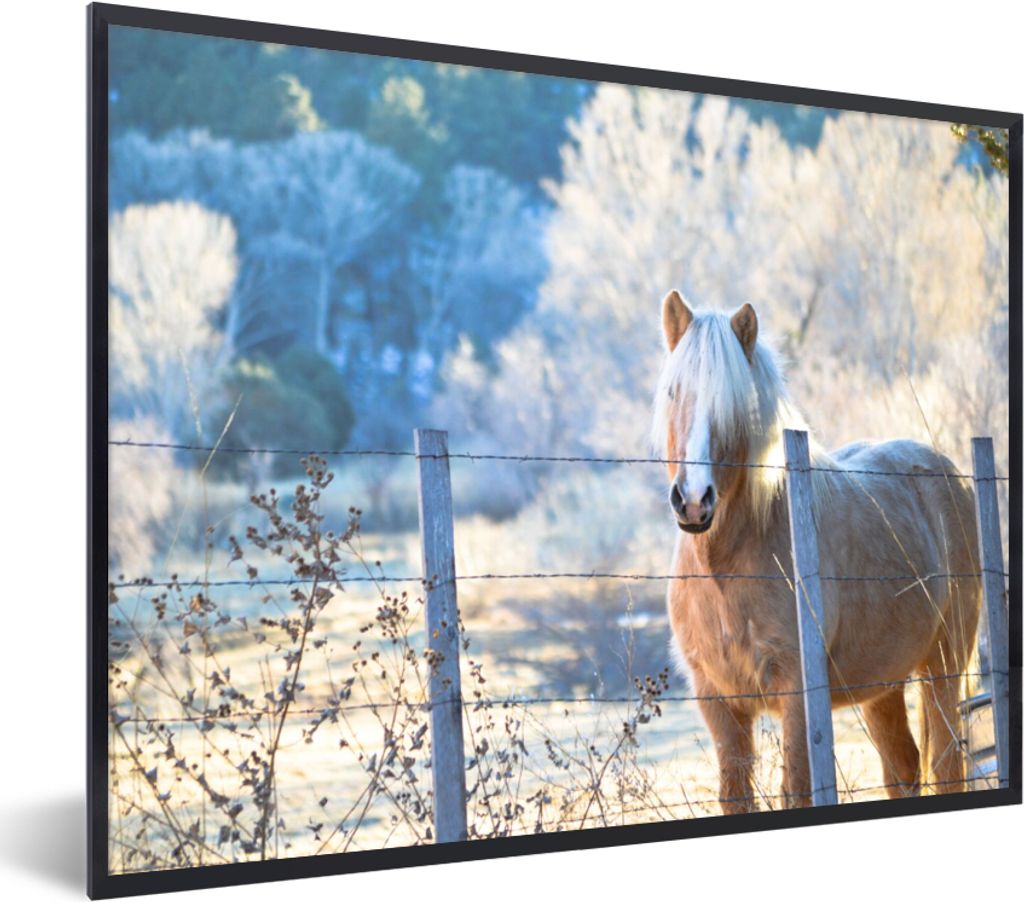 MuchoWow Gerahmtes Poster Pferd - Winter - Schnee 80x60 cm - Poster mit Schwarzem Bilderrahmen Wandposter Rahmen Foto Bilder - Schwarzem - Mit Ge...