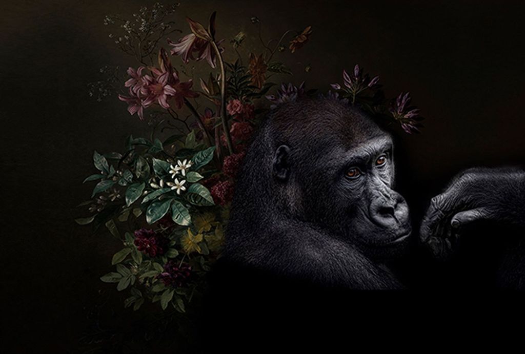 Tadessi Fototapete | Blumen | 4.00 m x 2.70 m | Schwarz | Braun | Wandbild | Digitaldruck