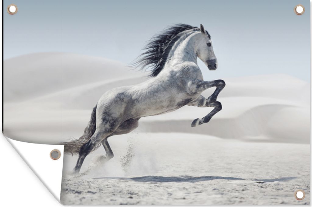 MuchoWow 60x40 cm Outdoor-Poster Gartendeko Sichtschutz Garten Poster für den Garten Pferd - Tiere - Sand - Natur