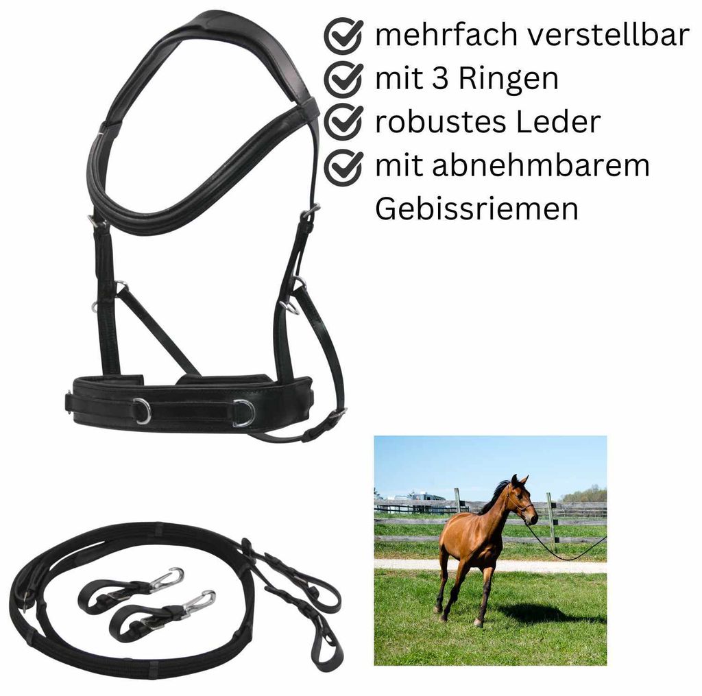 AMKA Reitkappzaum mit Gebissverschnallung zum Longieren und Reiten gebisslos oder mit Gebiss VB, WB, XWB, Größe:Vollblut/Haflinger