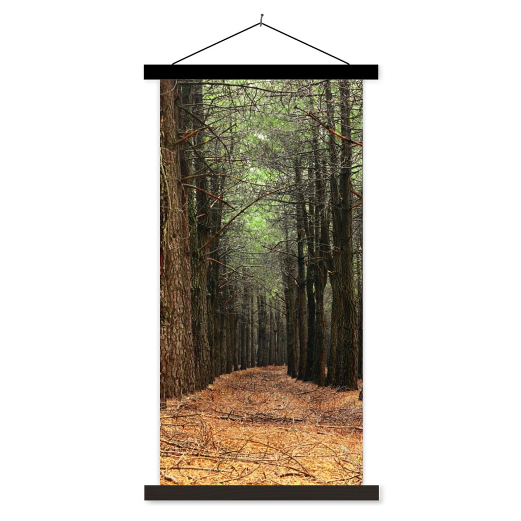 MuchoWow Textilposter Herbst - Dekoration - Wald 60x120 cm mit schwarzem Rahmen - Magnete