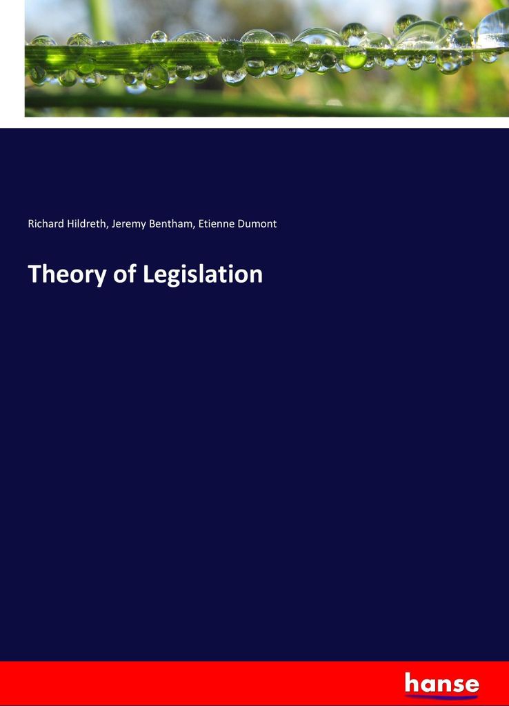 Theory of Legislation