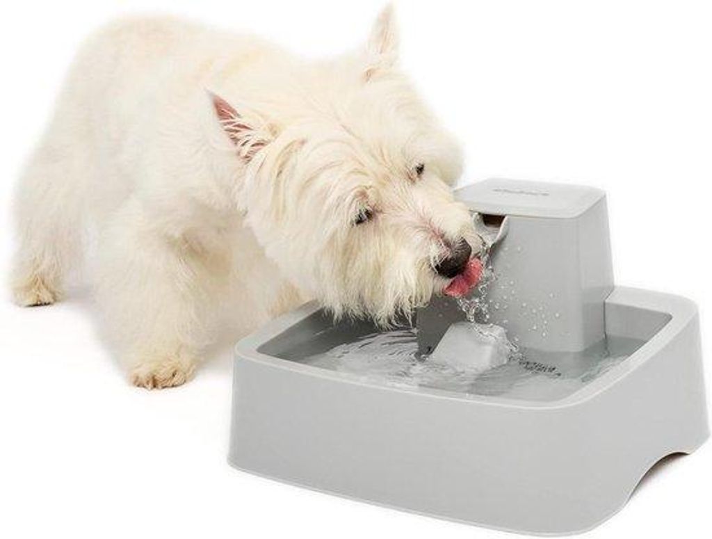 Wasserschale 1 Gallone für Hunde und Katzen, einfach zu reinigen, mit Filter
