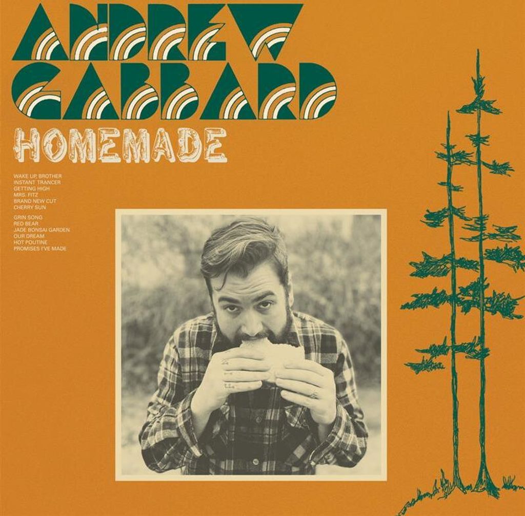 Andrew Gabbard: Homemade (ltd. Camo Green Vinyl) - 375 Media - (LP / H)