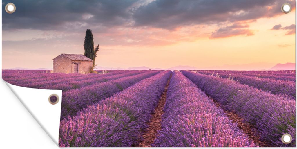MuchoWow 80x40 cm Outdoor-Poster Gartendeko Sichtschutz Garten Poster für den Garten Lavendel - Blumen - Lila - Feld