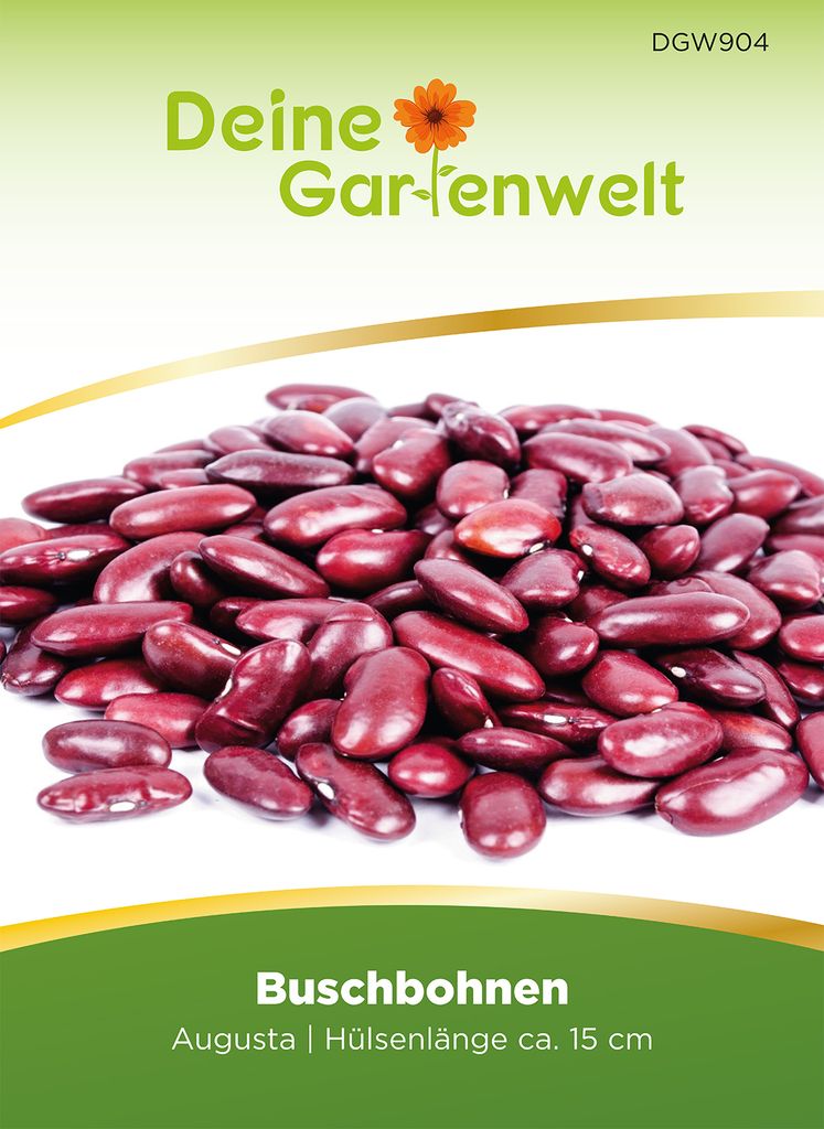 Kidneybohne Augusta Samen - Phaseolus vulgaris - Buschbohnensamen - Gemüsesamen - Saatgut