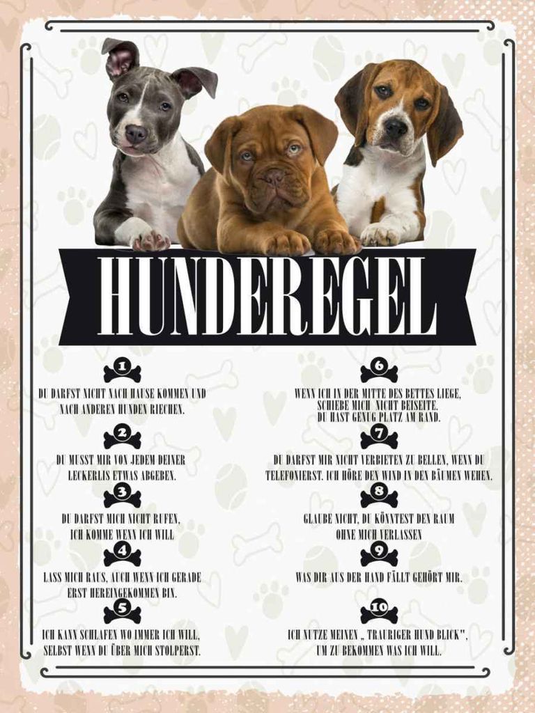 vianmo Holzschild 40x30 cm Hunderegel du darfst mich nicht rufen Tier Haustier