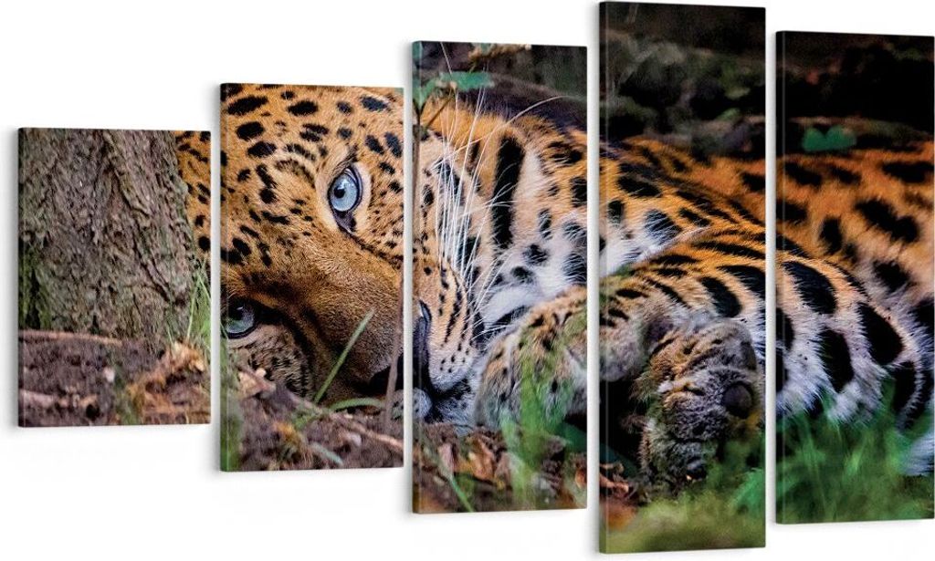 Bild auf Leinwand - Leinwandbild - 5 Teile - Leopard Porträt Jaguar - 100x60cm - Wand Bild - Wanddeko - Wandbilder - Leinwanddruck - Bilder - Wand...