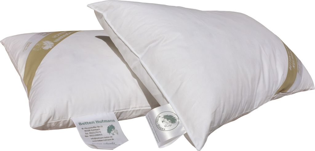 2 Stück Betten Hofmann Kopfkissen 30x50 Nackenkissen Federkissen 30% Daunen 300 g prall