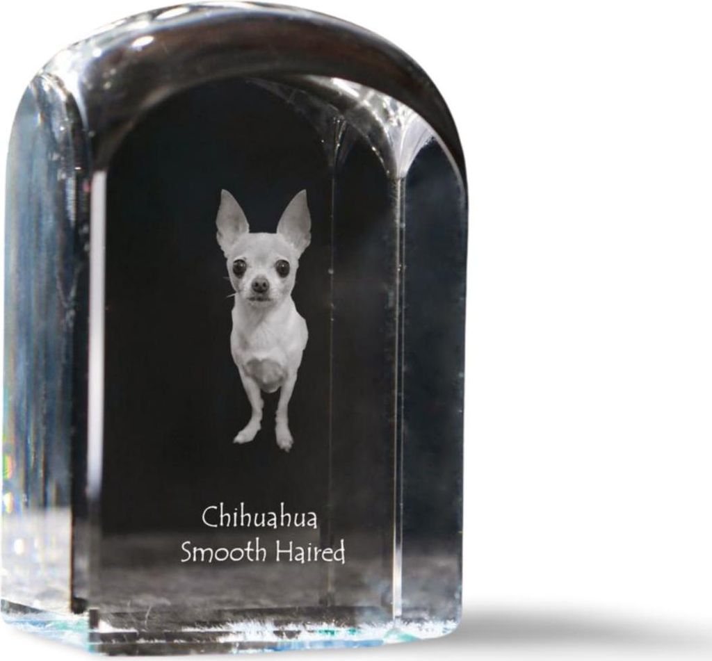 Chihuahua Langhaar - Kristallwürfel mit Bild, Hundebild im Kristall, sechseckiger Papierclip von Art-Dog.