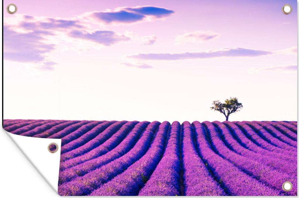 MuchoWow 90x60 cm Outdoor-Poster Gartendeko Sichtschutz Garten Poster für den Garten Lavendel - Bäume - Lila - Blumen
