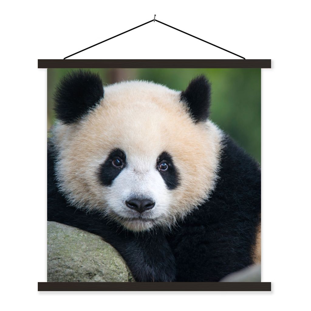 MuchoWow Textilposter Panda - Wildtiere - Porträt - Stein 90x90 cm mit schwarzem Rahmen - Magnetisches