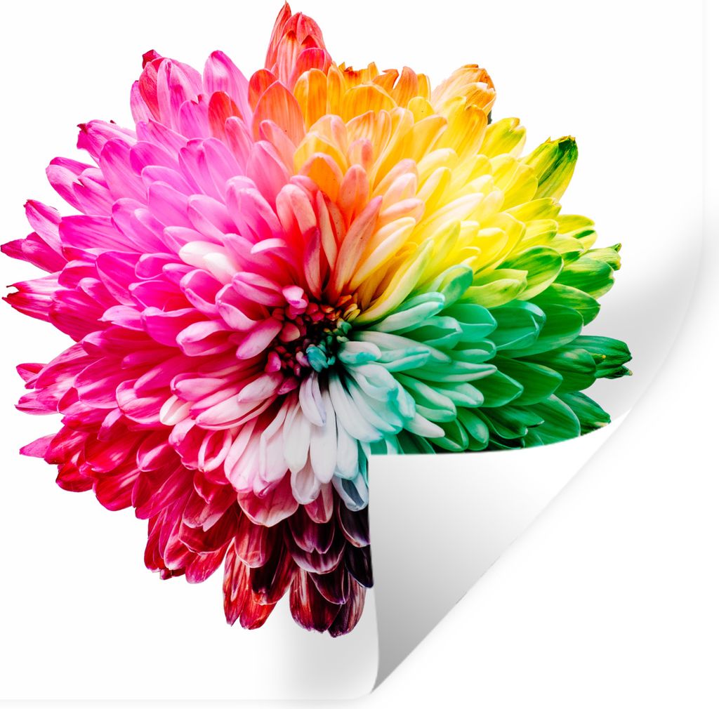 MuchoWow - Repositionierbar - Wasser abweisend