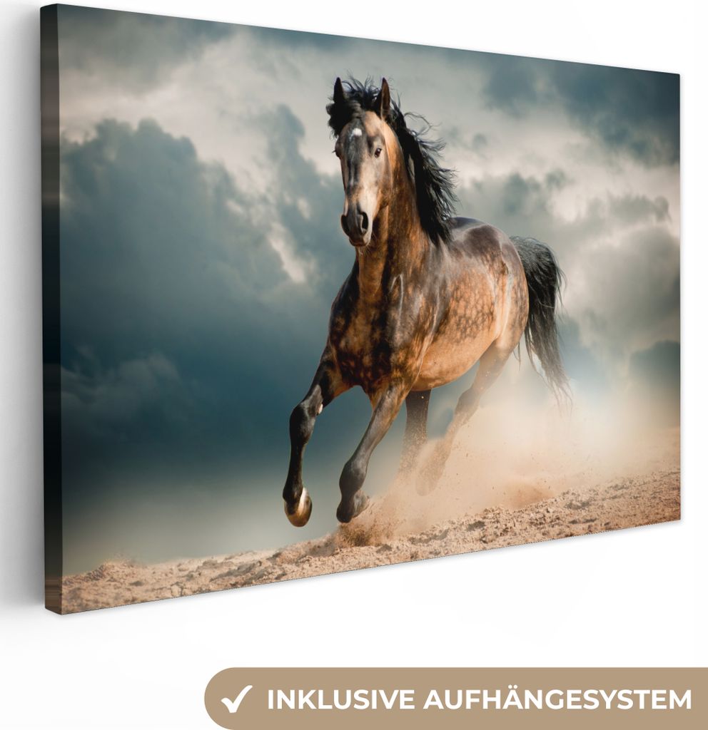 MuchoWow - Leinwandbilder - Pferd - Tiere - Braun - Natur, Wandbild, Wanddeko Bilder Wohnzimmer, 120x80 cm