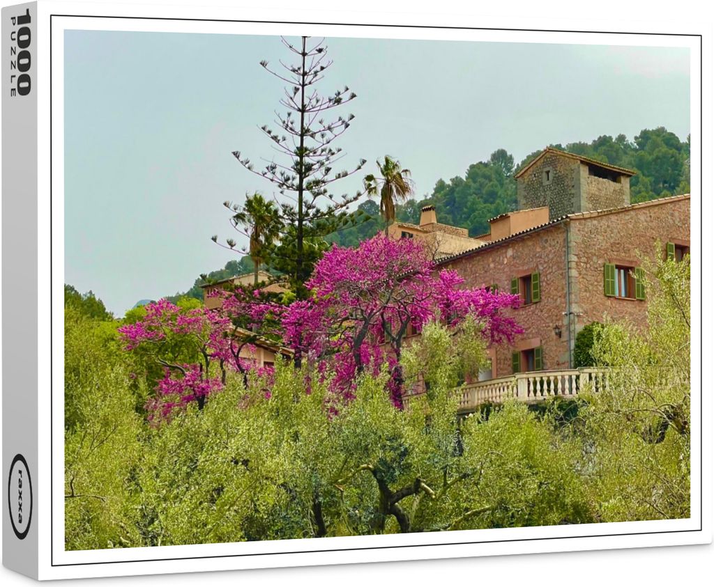 raxxa Premium-Puzzle "Olivenbaum", 1000 Teile