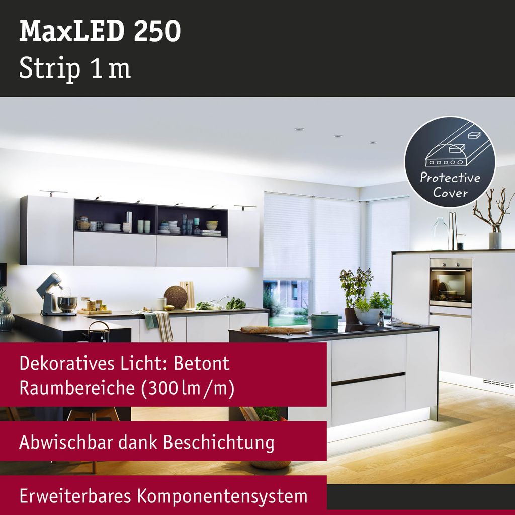 MaxLED 250 – przedłużka taśmy LED 1 m, powlekana, 6500 K, 4 Zdjęcie produktu 