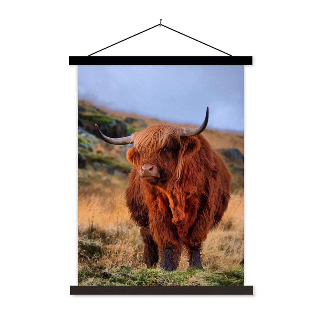 MuchoWow Textilposter Schottische Highlander - Gras - Steine 90x120 cm mit schwarzem Rahmen - Dekoration
