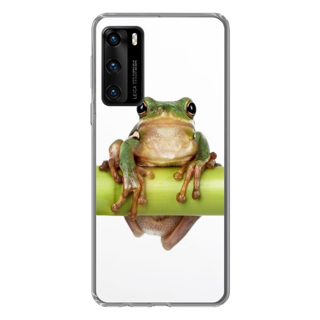 MuchoWow Handyhülle Schutzhülle Hülle für Huawei P40 Frosch - Bambus - Weiß Silikon Softcase Handy Hülle - Handytasche