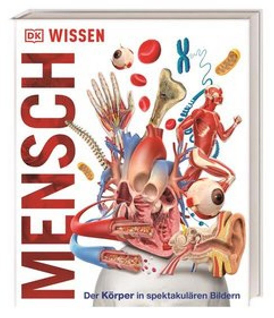 Wissen - Mensch
