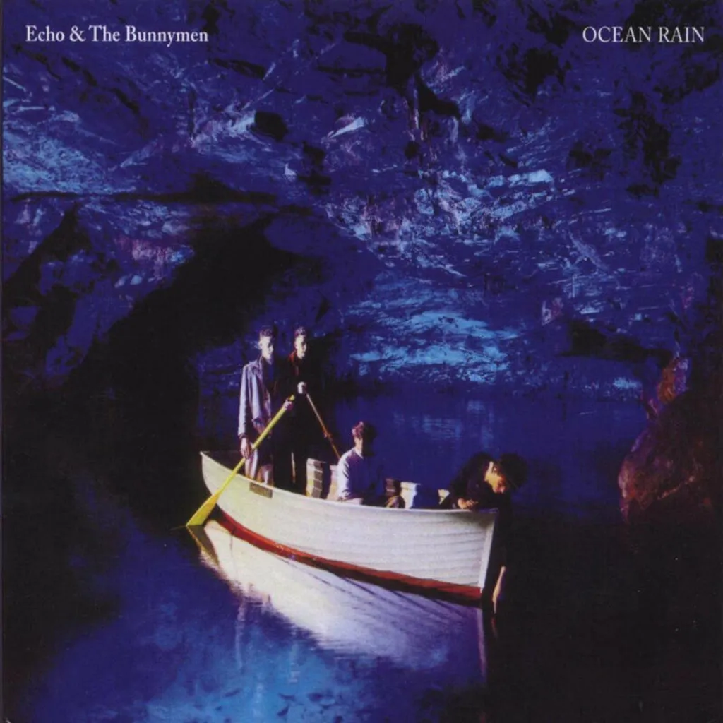 Vinyle Ocean Rain par Echo & The Bunnymen - Disque LP 33 Tours Neuf