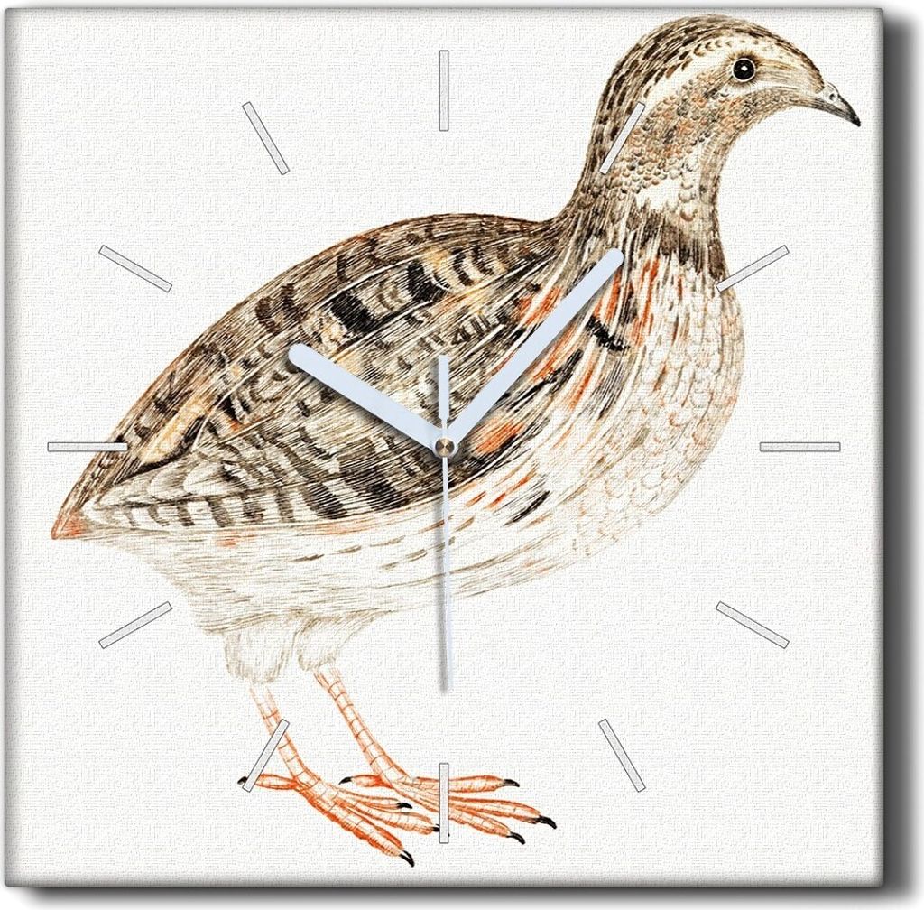 Coloray Hodiny Unikátní 30x30 cm Tiché hodiny Pro obývací pokoj a kuchyň Nástěnné hodiny Plátno Černé ručičky hodin - Zvířecí pták