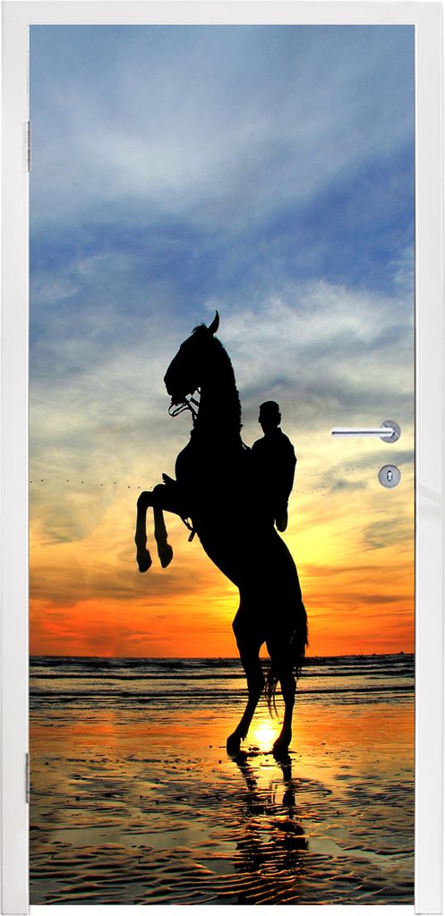 MuchoWow Türtapete Selbstklebende Türfolie Pferd - Himmel - Schatten 75x205 cm Türposter Türaufkleber Klebefolie Türklebefolie - XXL-Aufkleb...
